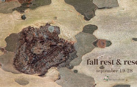 Fall 2024 Rest & Reset