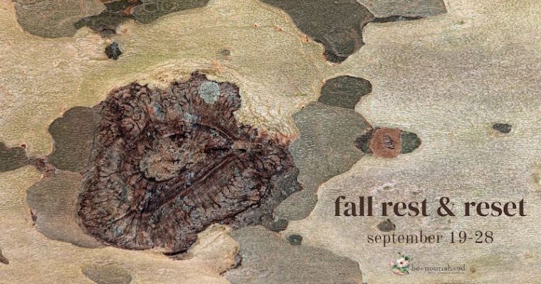 Fall 2024 Rest & Reset