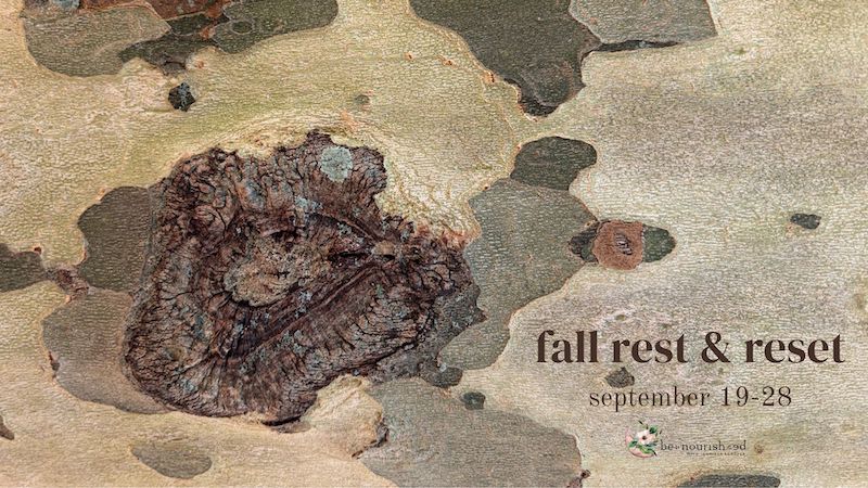 Fall 2024 Rest & Reset