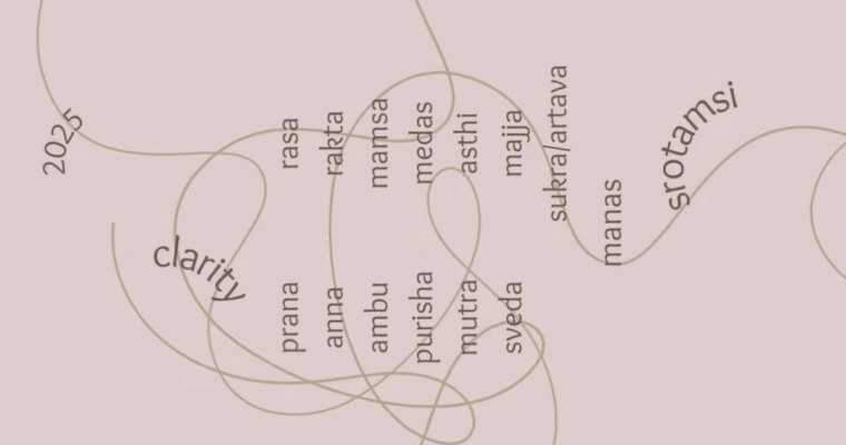 2025: Clarity & The Srotamsi