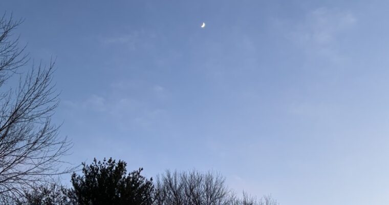 The Between—2026 Word of the Year