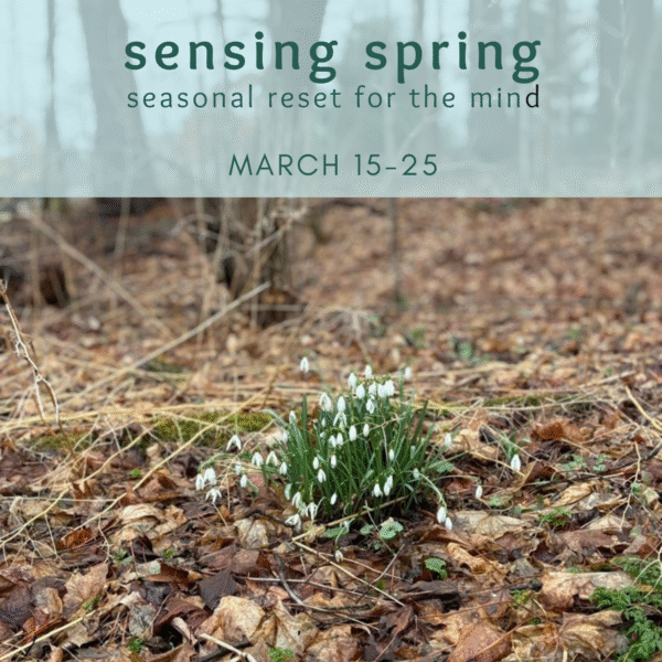 Sensing Spring Seasonal Rest for the Mind (1)